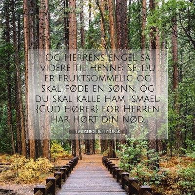 Picture 07 - 1 Mosebok 16:11 NORSK - Og Herrens engel sa videre til henne: Se, du er - Bible Verse Picture