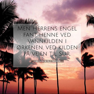 Picture 07 - 1 Mosebok 16:7 NORSK - Men Herrens engel fant henne ved vannkilden i - Bible Verse Picture
