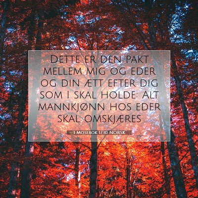 Picture 07 - 1 Mosebok 17:10 NORSK - Dette er den pakt mellem mig og eder og din ætt - Bible Verse Picture