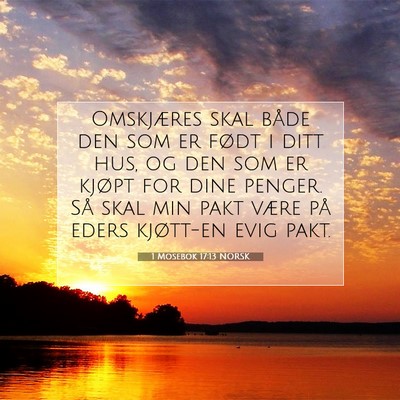 Picture 07 - 1 Mosebok 17:13 NORSK - Omskjæres skal både den som er født i ditt - Bible Verse Picture