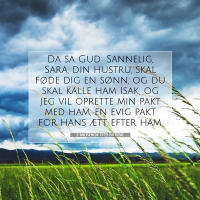 Picture 07 - 1 Mosebok 17:19 NORSK - Da sa Gud: Sannelig, Sara, din hustru, skal føde - Bible Verse Picture