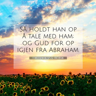 Picture 07 - 1 Mosebok 17:22 NORSK - Så holdt han op å tale med ham; og Gud for op - Bible Verse Picture