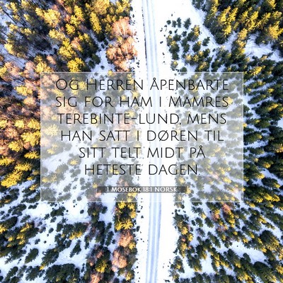 Picture 07 - 1 Mosebok 18:1 NORSK - Og Herren åpenbarte sig for ham i Mamres - Bible Verse Picture