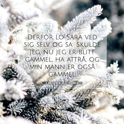 Picture 07 - 1 Mosebok 18:12 NORSK - Derfor lo Sara ved sig selv og sa: Skulde jeg, nu - Bible Verse Picture