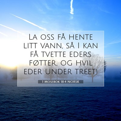 Picture 07 - 1 Mosebok 18:4 NORSK - La oss få hente litt vann, så I kan få tvette - Bible Verse Picture