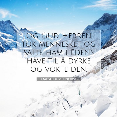 Picture 07 - 1 Mosebok 2:15 NORSK - Og Gud Herren tok mennesket og satte ham i Edens - Bible Verse Picture
