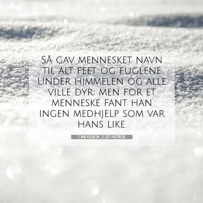 Picture 07 - 1 Mosebok 2:20 NORSK - Så gav mennesket navn til alt feet og fuglene - Bible Verse Picture