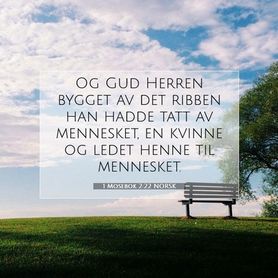 Picture 07 - 1 Mosebok 2:22 NORSK - Og Gud Herren bygget av det ribben han hadde tatt - Bible Verse Picture