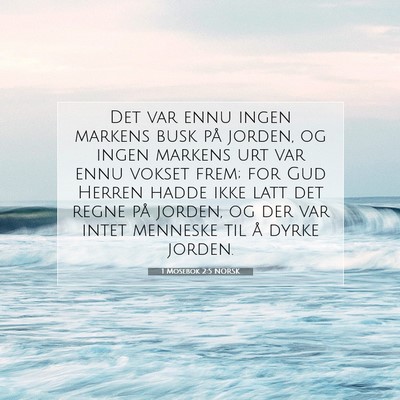 Picture 07 - 1 Mosebok 2:5 NORSK - Det var ennu ingen markens busk på jorden, og - Bible Verse Picture