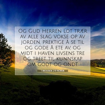 Picture 07 - 1 Mosebok 2:9 NORSK - Og Gud Herren lot trær av alle slag vokse op av - Bible Verse Picture
