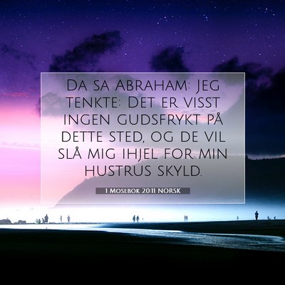Picture 07 - 1 Mosebok 20:11 NORSK - Da sa Abraham: Jeg tenkte: Det er visst ingen - Bible Verse Picture