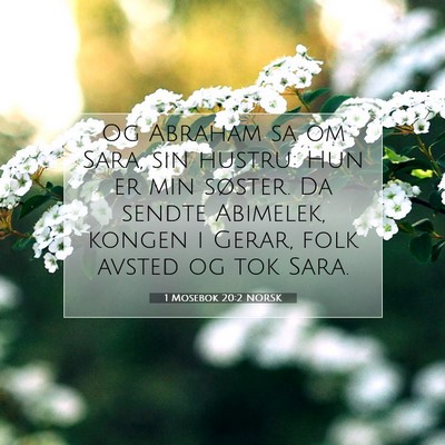 Picture 07 - 1 Mosebok 20:2 NORSK - Og Abraham sa om Sara, sin hustru: Hun er min - Bible Verse Picture