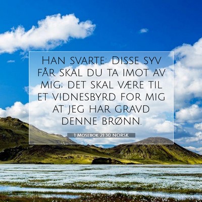 Picture 07 - 1 Mosebok 21:30 NORSK - Han svarte: Disse syv får skal du ta imot av - Bible Verse Picture