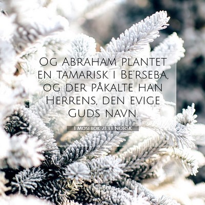 Picture 07 - 1 Mosebok 21:33 NORSK - Og Abraham plantet en tamarisk i Be'rseba, og der - Bible Verse Picture
