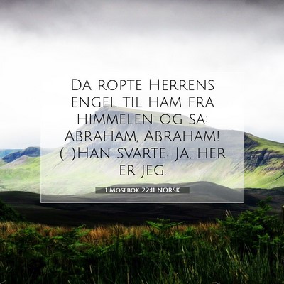 Picture 07 - 1 Mosebok 22:11 NORSK - Da ropte Herrens engel til ham fra himmelen og - Bible Verse Picture