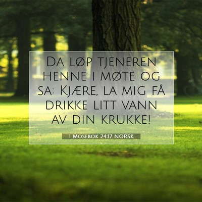 Picture 07 - 1 Mosebok 24:17 NORSK - Da løp tjeneren henne i møte og sa: Kjære, la - Bible Verse Picture