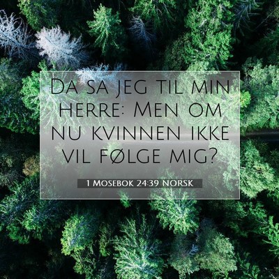 Picture 07 - 1 Mosebok 24:39 NORSK - Da sa jeg til min herre: Men om nu kvinnen ikke - Bible Verse Picture