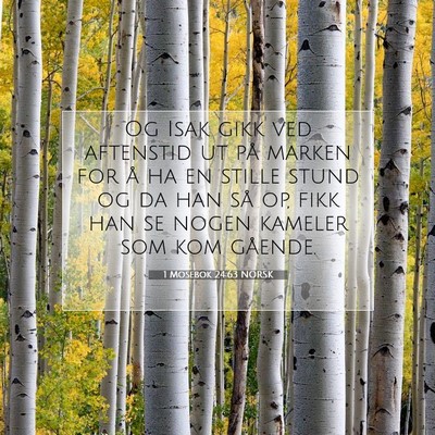 Picture 07 - 1 Mosebok 24:63 NORSK - Og Isak gikk ved aftenstid ut på marken for å - Bible Verse Picture