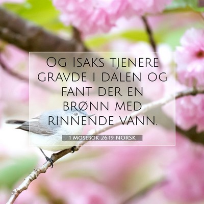 Picture 07 - 1 Mosebok 26:19 NORSK - Og Isaks tjenere gravde i dalen og fant der en - Bible Verse Picture