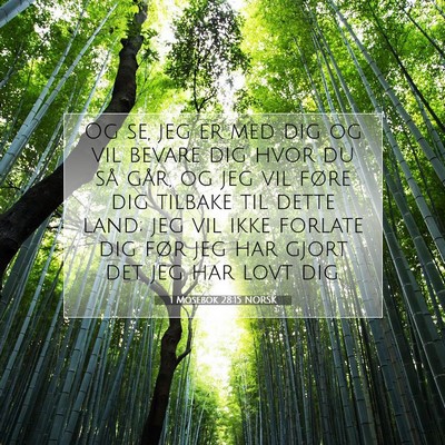Picture 07 - 1 Mosebok 28:15 NORSK - Og se, jeg er med dig og vil bevare dig hvor du - Bible Verse Picture