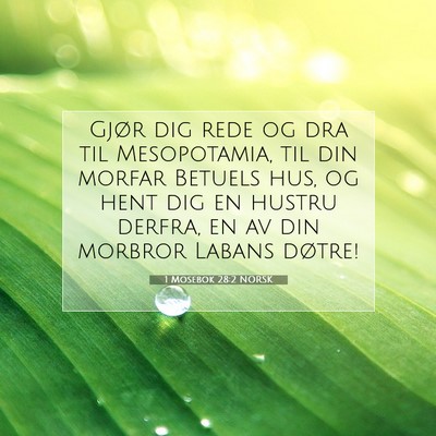 Picture 07 - 1 Mosebok 28:2 NORSK - Gjør dig rede og dra til Mesopotamia, til din - Bible Verse Picture