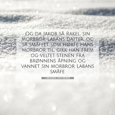 Picture 07 - 1 Mosebok 29:10 NORSK - Og da Jakob så Rakel, sin morbror Labans datter, - Bible Verse Picture