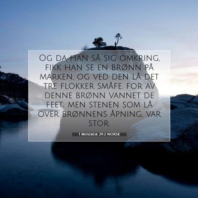 Picture 07 - 1 Mosebok 29:2 NORSK - Og da han så sig omkring, fikk han se en brønn - Bible Verse Picture
