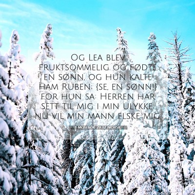 Picture 07 - 1 Mosebok 29:32 NORSK - Og Lea blev fruktsommelig og fødte en sønn, og - Bible Verse Picture