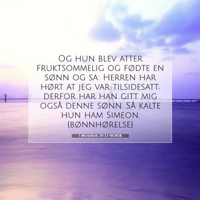 Picture 07 - 1 Mosebok 29:33 NORSK - Og hun blev atter fruktsommelig og fødte en - Bible Verse Picture