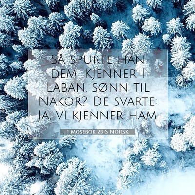 Picture 07 - 1 Mosebok 29:5 NORSK - Så spurte han dem: Kjenner I Laban, sønn til - Bible Verse Picture