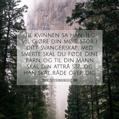 Picture 07 - 1 Mosebok 3:16 NORSK - Til kvinnen sa han: Jeg vil gjøre din møie stor - Bible Verse Picture