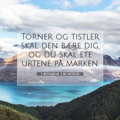 Picture 07 - 1 Mosebok 3:18 NORSK - Torner og tistler skal den bære dig, og du skal - Bible Verse Picture