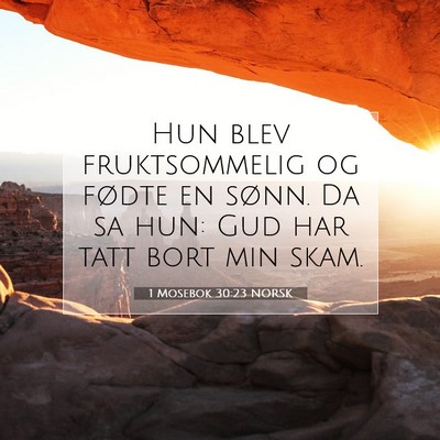 Picture 07 - 1 Mosebok 30:23 NORSK - Hun blev fruktsommelig og fødte en sønn. Da sa - Bible Verse Picture
