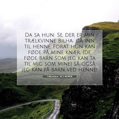 Picture 07 - 1 Mosebok 30:3 NORSK - Da sa hun: Se, der er min trælkvinne Bilha; gå - Bible Verse Picture