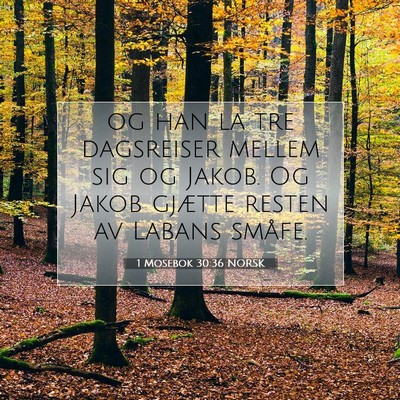 Picture 07 - 1 Mosebok 30:36 NORSK - og han la tre dagsreiser mellem sig og Jakob. Og - Bible Verse Picture