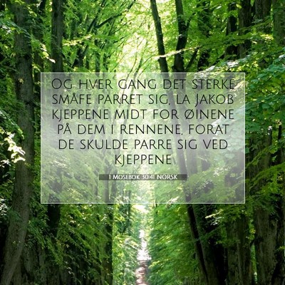 Picture 07 - 1 Mosebok 30:41 NORSK - Og hver gang det sterke småfe parret sig, la - Bible Verse Picture