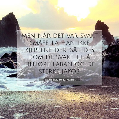 Picture 07 - 1 Mosebok 30:42 NORSK - men når det var svakt småfe, la han ikke - Bible Verse Picture