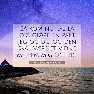 Picture 07 - 1 Mosebok 31:44 NORSK - Så kom nu og la oss gjøre en pakt, jeg og du, - Bible Verse Picture