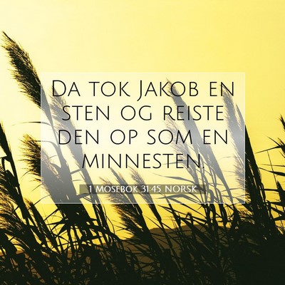 Picture 07 - 1 Mosebok 31:45 NORSK - Da tok Jakob en sten og reiste den op som en - Bible Verse Picture