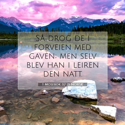 Picture 07 - 1 Mosebok 32:21 NORSK - Så drog de i forveien med gaven; men selv blev - Bible Verse Picture