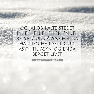 Picture 07 - 1 Mosebok 32:30 NORSK - Og Jakob kalte stedet Pniel; {Pniel eller Pnuel - Bible Verse Picture