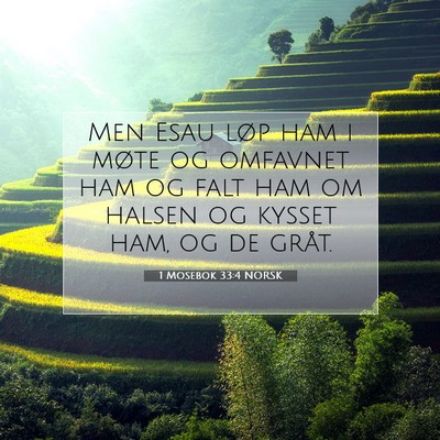Picture 07 - 1 Mosebok 33:4 NORSK - Men Esau løp ham i møte og omfavnet ham og falt - Bible Verse Picture