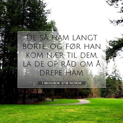 Picture 07 - 1 Mosebok 37:18 NORSK - De så ham langt borte, og før han kom nær til - Bible Verse Picture