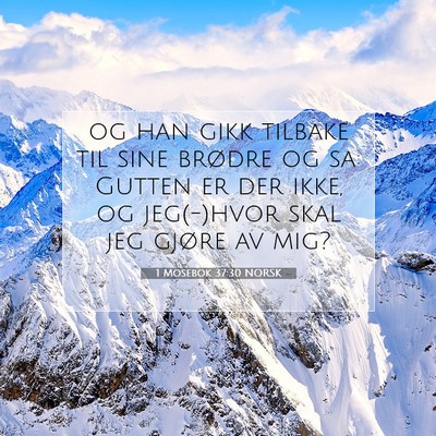 Picture 07 - 1 Mosebok 37:30 NORSK - og han gikk tilbake til sine brødre og sa: - Bible Verse Picture