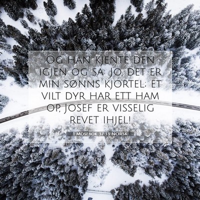 Picture 07 - 1 Mosebok 37:33 NORSK - Og han kjente den igjen og sa: Jo, det er min - Bible Verse Picture