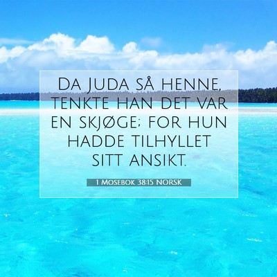 Picture 07 - 1 Mosebok 38:15 NORSK - Da Juda så henne, tenkte han det var en skjøge; - Bible Verse Picture