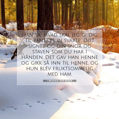 Picture 07 - 1 Mosebok 38:18 NORSK - Han sa: Hvad skal jeg gi dig til pant? Hun - Bible Verse Picture
