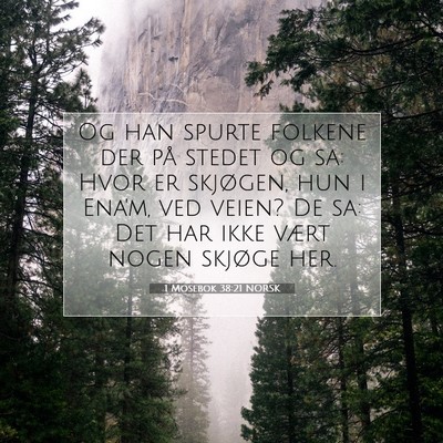 Picture 07 - 1 Mosebok 38:21 NORSK - Og han spurte folkene der på stedet og sa: Hvor - Bible Verse Picture