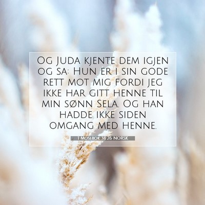 Picture 07 - 1 Mosebok 38:26 NORSK - Og Juda kjente dem igjen og sa: Hun er i sin gode - Bible Verse Picture