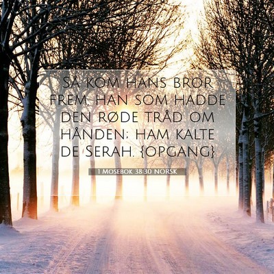 Picture 07 - 1 Mosebok 38:30 NORSK - Så kom hans bror frem, han som hadde den røde - Bible Verse Picture